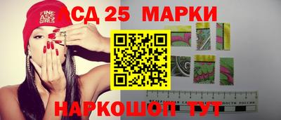 Альфа ПВП Будённовск