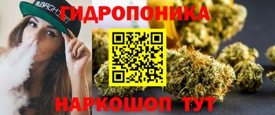 Альфа ПВП Будённовск