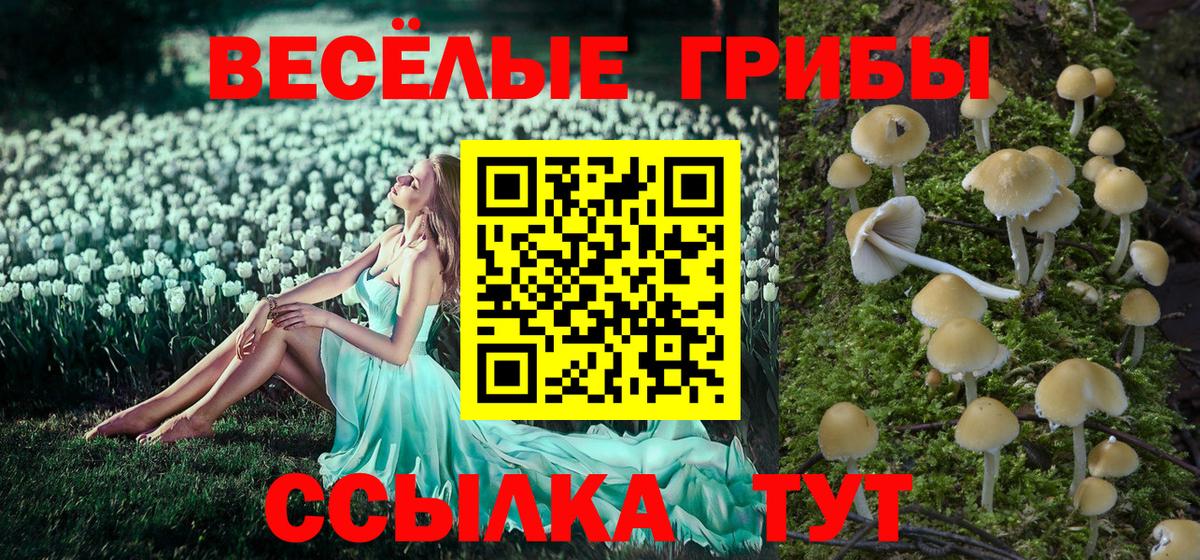 Псилоцибиновые грибы мухоморы  Вход с VPN  Псилоцибиновые грибы Magic Shrooms  Мыски 